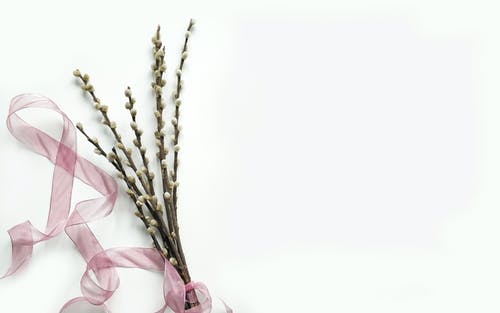 熱文戰(zhàn)神強勢歸來小說葉無道徐靈兒搶先閱讀