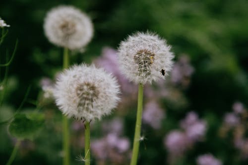 一年級(jí)美文誦讀比賽活動(dòng)總結(jié)范文