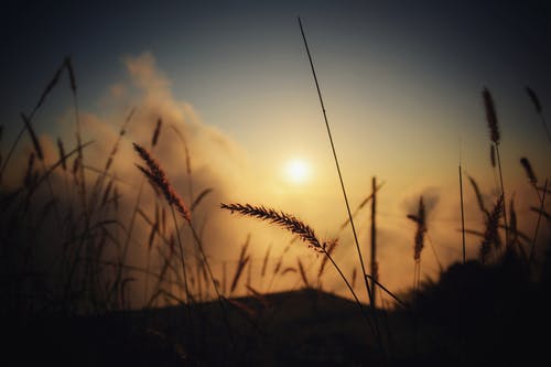 相愛經(jīng)典語錄感悟深刻