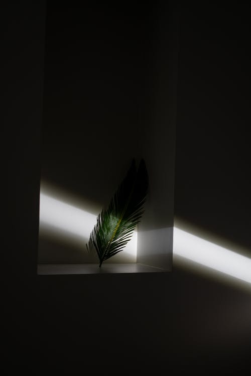 五年級(jí)讀后感西游記讀后感1