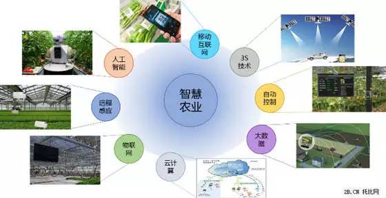 農(nóng)業(yè)電商是什么意思