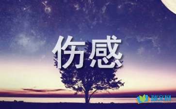 隨筆散文：傷感的心，憔悴一個人的冷