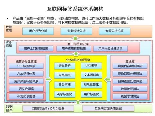 學(xué)習(xí)電子商務(wù)需要學(xué)習(xí)哪些軟件，請詳細說一下