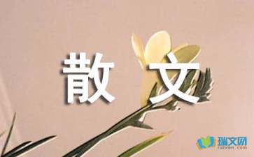 信心隨筆散文