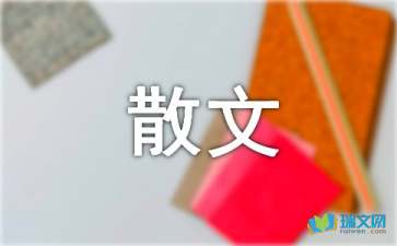 我們?cè)跄芡鼌s隨筆散文