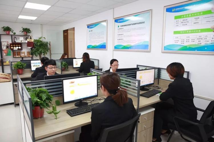 電商專業(yè)的工作人員平時的工作內(nèi)容是什么？