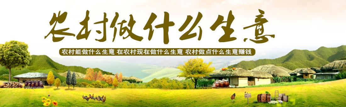 現(xiàn)在農(nóng)村自主創(chuàng)業(yè)做什么好？