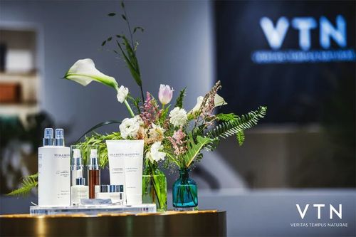 VTN是做什么的？