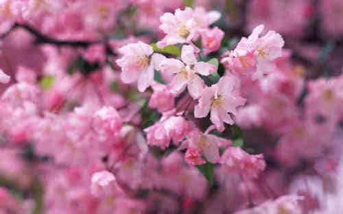 適合發(fā)說說的經(jīng)典語錄（94條）