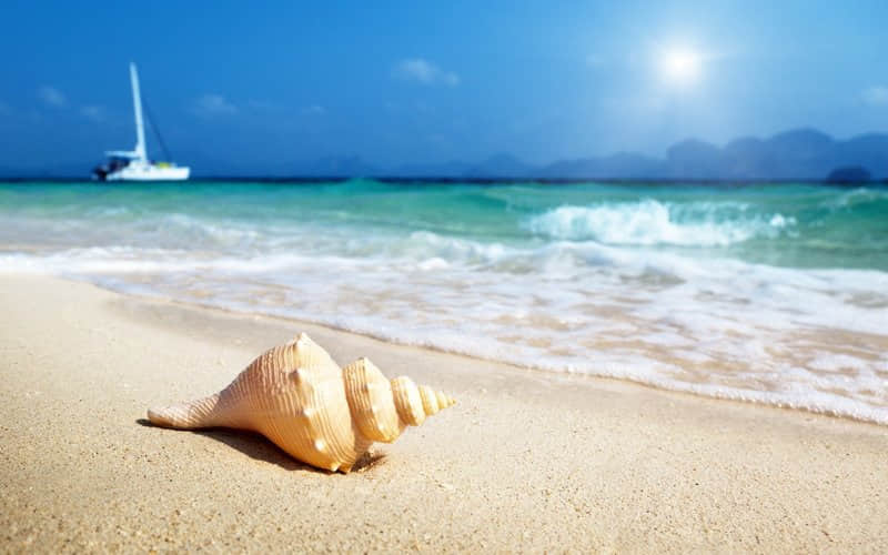 朋友圈點(diǎn)贊很高的經(jīng)典說說(70條) 朋友圈點(diǎn)贊很高的經(jīng)典說說(70條)