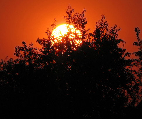 20句不想起床的經(jīng)典說說