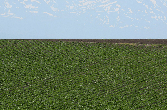 2019表達不想開學的經典說說（40條）