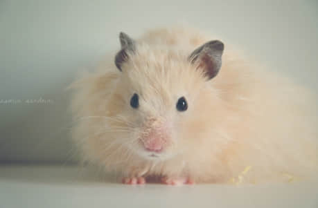 朋友圈刷屏的經(jīng)典說說(62條) 朋友圈刷屏的經(jīng)典說說(62條)