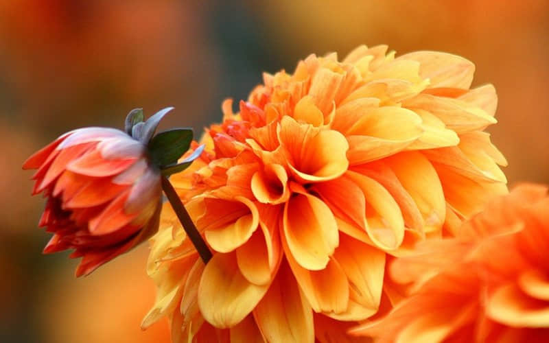 打滿雞血的勵(lì)志經(jīng)典說(shuō)說(shuō)（59條）