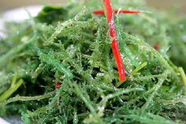 角叉菜有什么營養(yǎng)