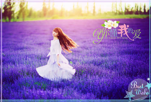 經(jīng)典語錄2019:所有遺憾都是為未來的幸福做鋪墊 經(jīng)典語錄2019:所有遺憾都是為未來的幸福做鋪墊