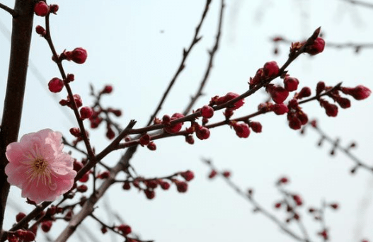 2019最流行的經(jīng)典說說（75條）