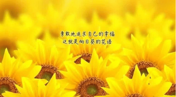 成長(zhǎng)孤單的經(jīng)典說(shuō)說(shuō)（48條）