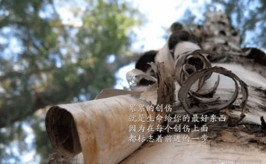 致自己霸氣的經(jīng)典說說（78條）
