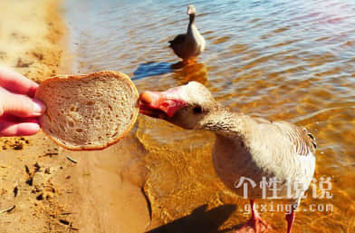 被生活壓抑的好累經(jīng)典說說（60條）