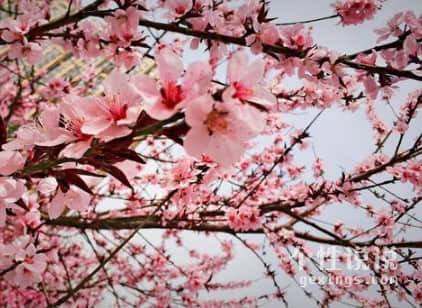 震撼到你心靈的經(jīng)典說說超現(xiàn)實（55條）