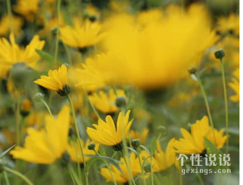 深入人心有內(nèi)涵的經(jīng)典說說（55條）