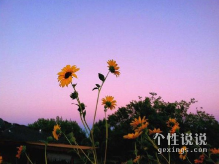 心靈雞湯勵志的經典說說（55條）