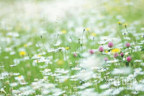 適合母親節(jié)發(fā)朋友圈的經(jīng)典說說（59條）