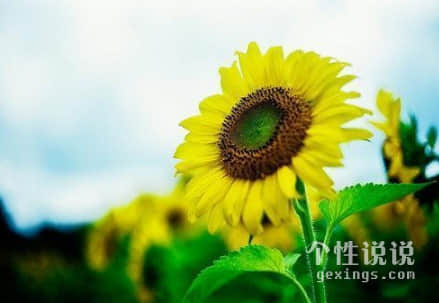 生活現(xiàn)實有哲理的經(jīng)典說說（43條）