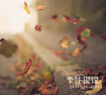 抖音爆紅深情告白說說：因?yàn)槲也恢溃乱惠呑邮欠襁€能遇見你