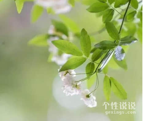 一句話早安溫暖的經(jīng)典說(shuō)說(shuō)（45條）