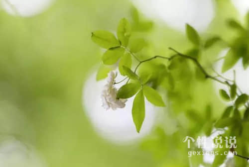 2019深入人心的經(jīng)典說說（54條）