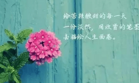 人生感悟句子經(jīng)典說說分享：哭給自己聽，笑給別人看，這就是所謂的人生