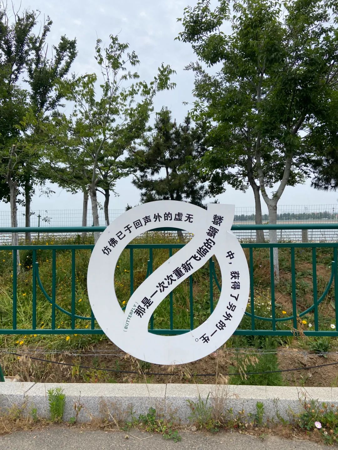 好文案不在公眾號里