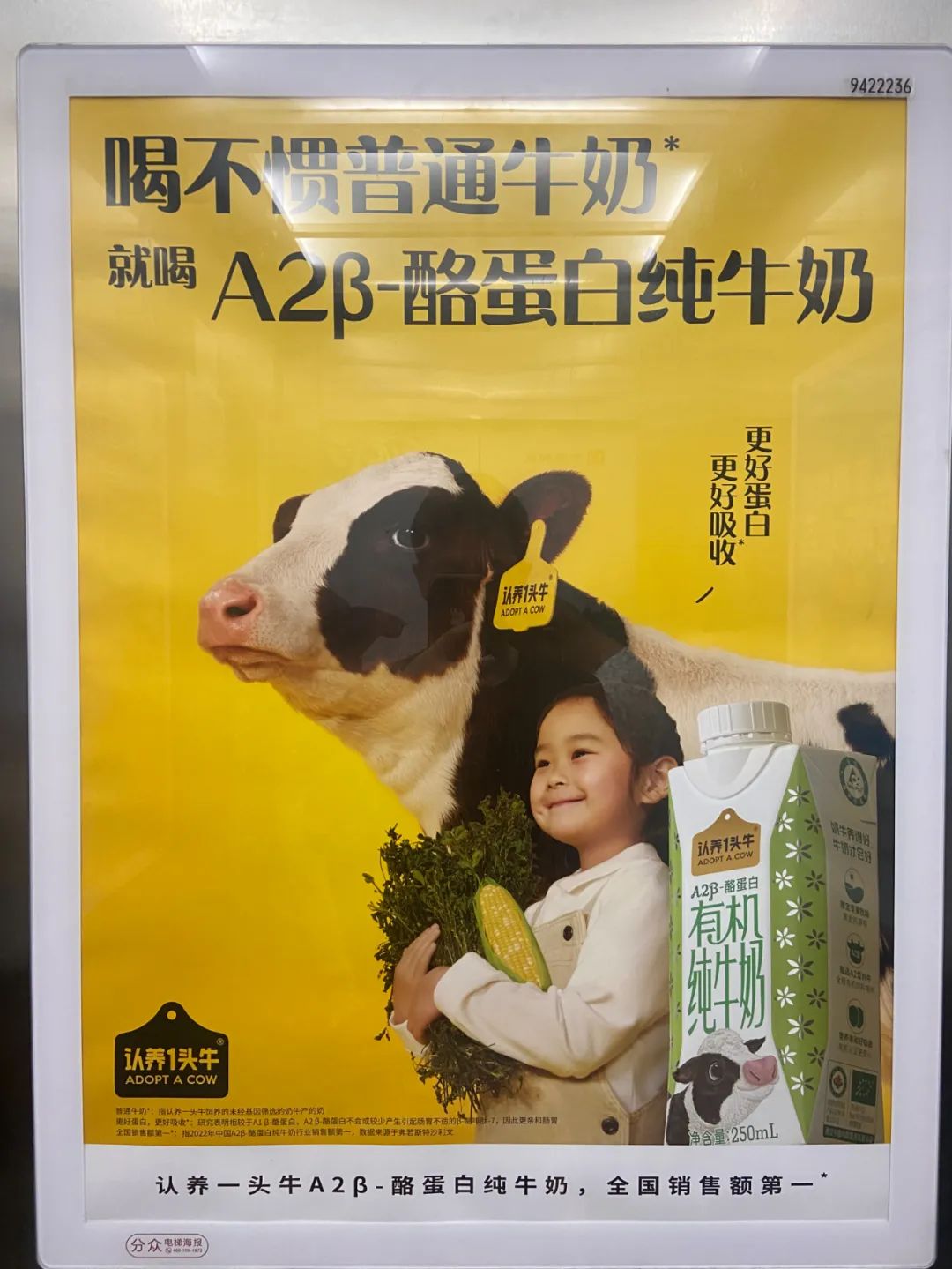 好文案不在公眾號里