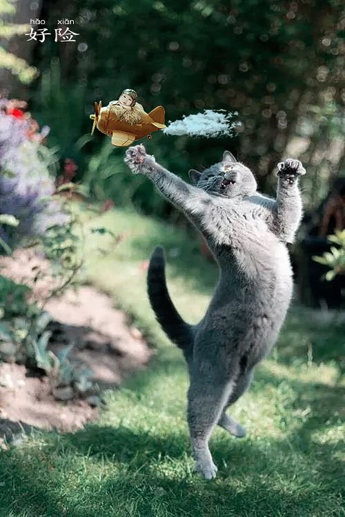 元旦新年快樂的心情說說句子