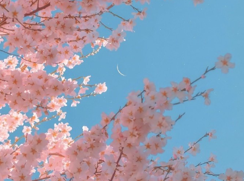 經(jīng)典的人生哲理說(shuō)說(shuō) 人終究不能活得太疲憊