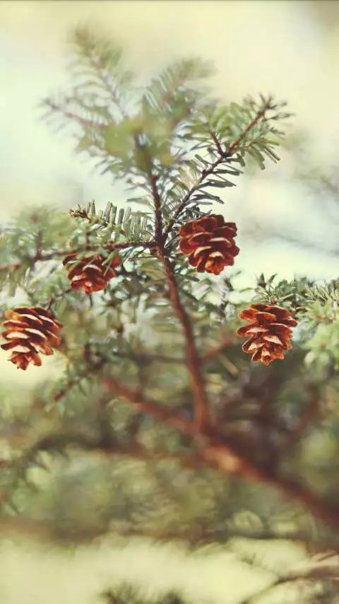 句句走心的經(jīng)典語錄 任何不快樂的時光都是浪費