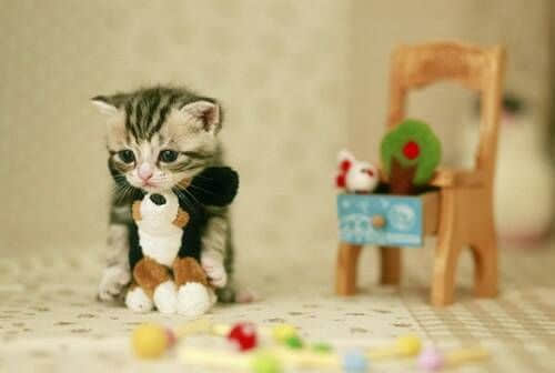 傷感說說心情段子(70條) 傷感說說心情段子(70條)