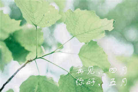 一個人說說看完哭了那種(74條) 一個人說說看完哭了那種(74條)