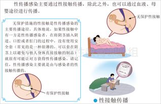 小學(xué)生性知識基礎(chǔ)教育