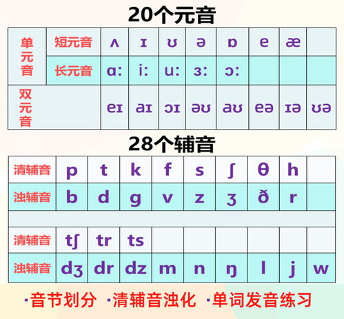 輔音,英語(yǔ),基礎(chǔ)知識(shí)