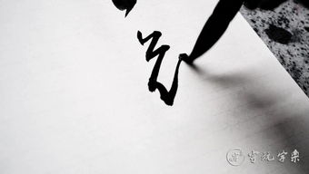 書法教程基礎(chǔ)知識