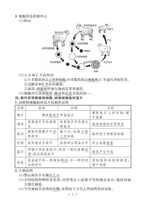 生物必備基礎(chǔ)知識點(diǎn)初中,初中生物基礎(chǔ)知識點(diǎn)總結(jié),初中生物知識點(diǎn)總結(jié)
