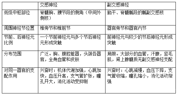 基礎(chǔ)知識(shí),簡(jiǎn)單,醫(yī)學(xué)