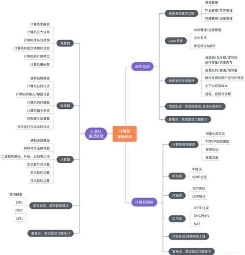 慕課網(wǎng)編程必備基礎(chǔ)知識