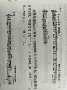 樂理,記號(hào),省略,基礎(chǔ)知識(shí)