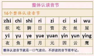 漢語(yǔ)拼音部分基礎(chǔ)知識(shí)測(cè)試,小學(xué)漢語(yǔ)拼音基礎(chǔ)知識(shí),漢語(yǔ)拼音初學(xué)入門基礎(chǔ)知識(shí)