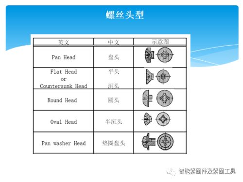 怎樣去講解表皮基礎(chǔ)知識