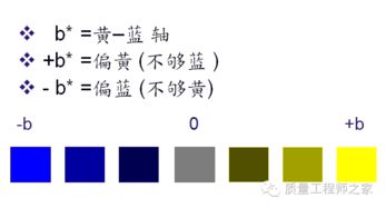 染色打樣基礎(chǔ)知識,美發(fā)染色基礎(chǔ)知識,陽極氧化染色原理